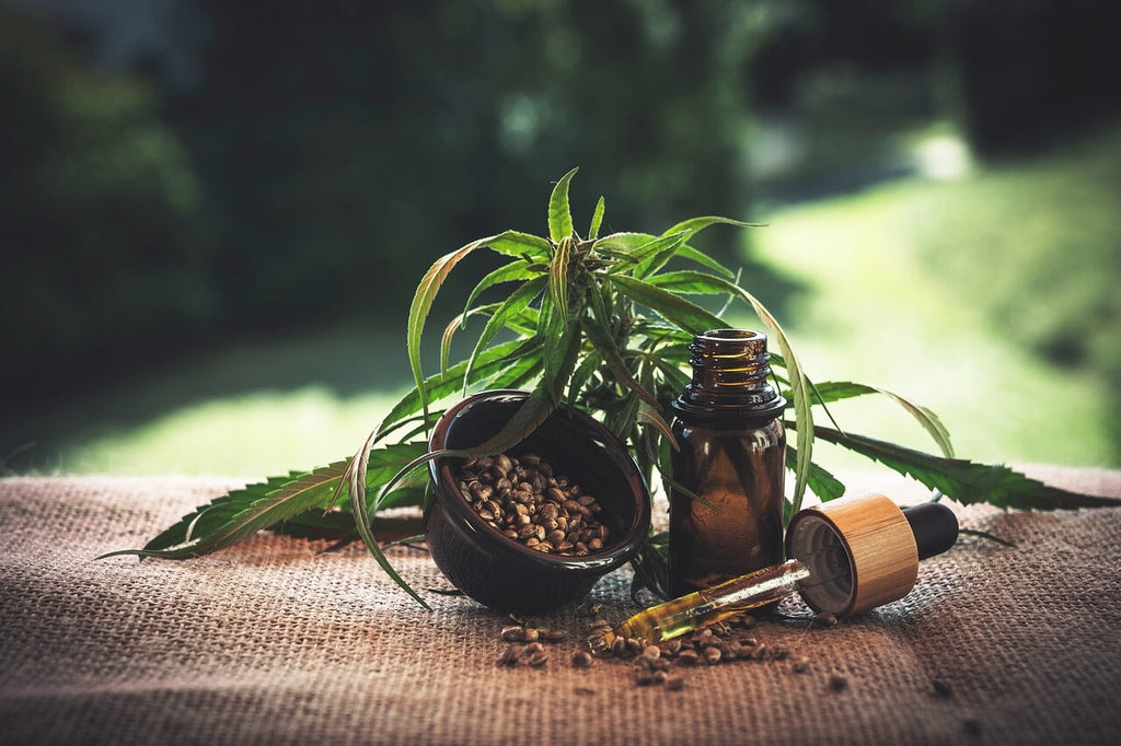 Le CBD : Mythes, Faits et Tendances Actuelles